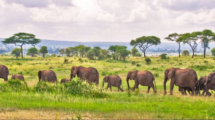 2 Days Ngorongoro Safari