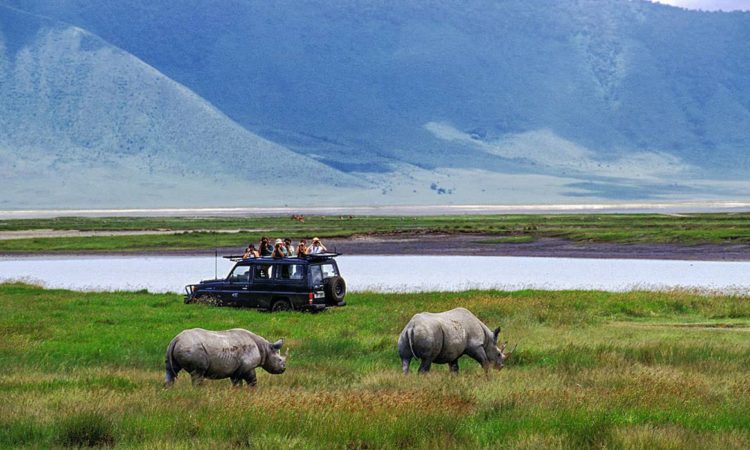 3 Days Ngorongoro and Serengeti safari