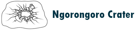 NgorongoroLogo
