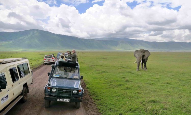 Ngorongoro Park Fees