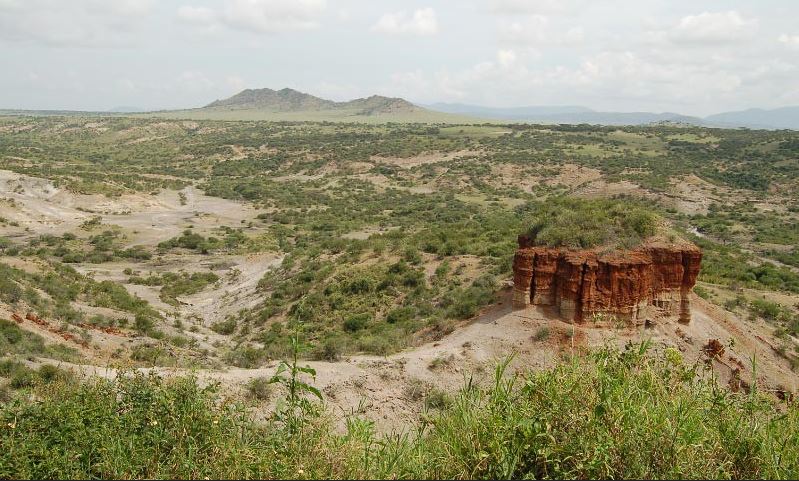 Olduvai Gorge and Laetoli