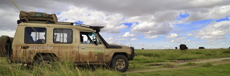 Self-Drive in Ngorongoro Crater