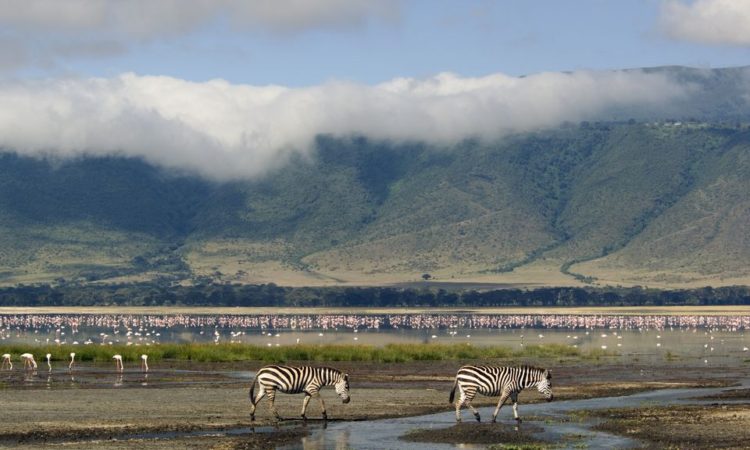 Weather of Ngorongoro Conservation Area