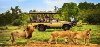 5 Days Ngorongoro and Tarangire Wildlife safari