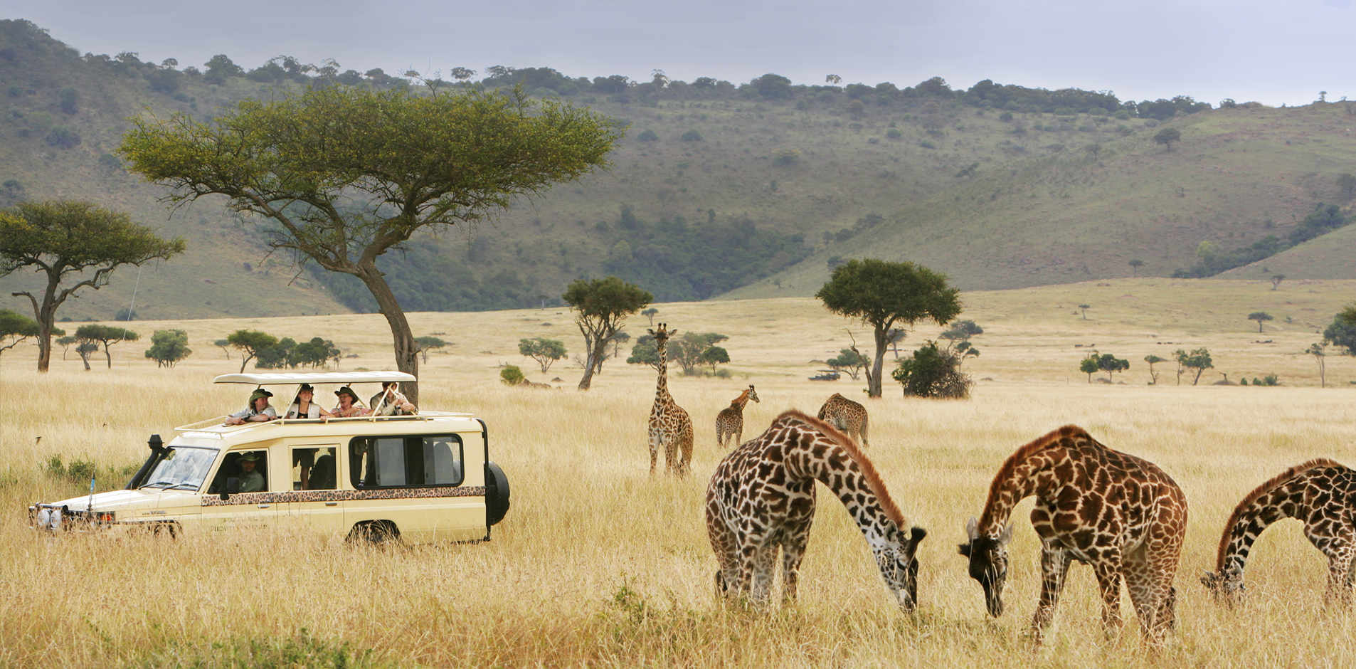 5 Days Best of Tanzania Wildlife Safari | Tanzania Safaris