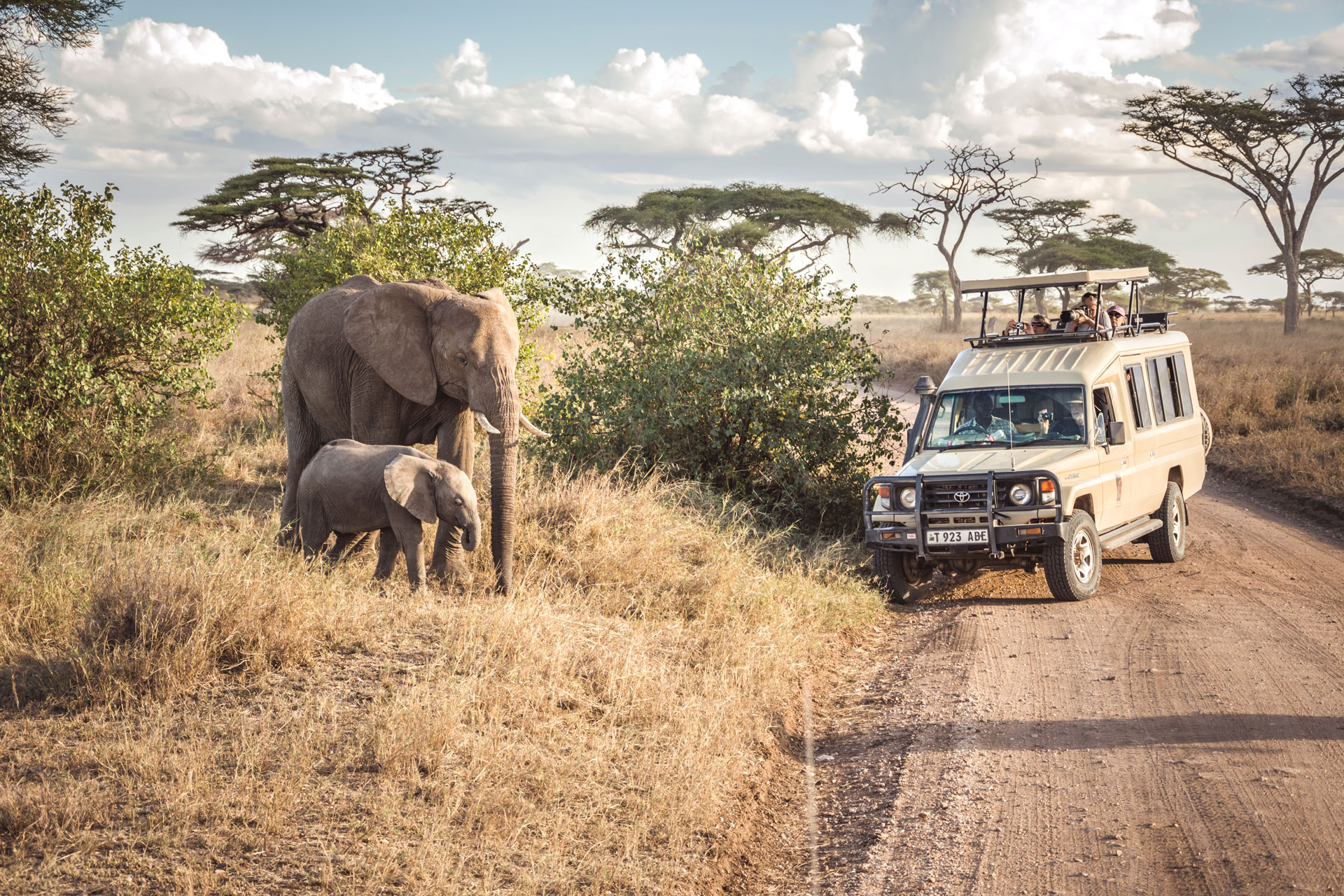 Serengeti National Park Activities  