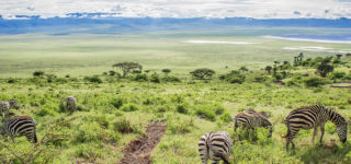 Why Ngorongoro Conservation Area is a must visit