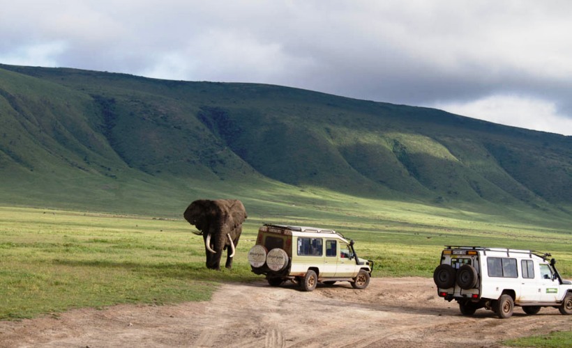 Rules and Regulations in Ngorongoro Crater