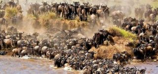 History of Serengeti National Park