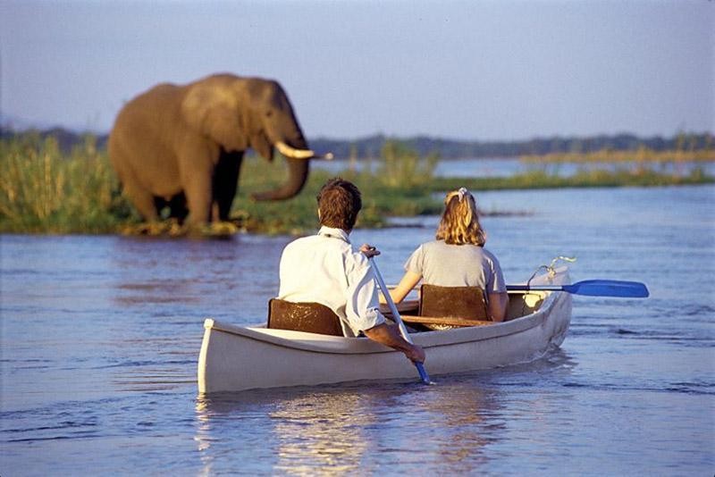 Lake Manyara National Park Activities