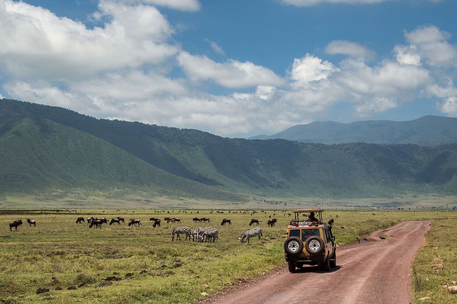 game drive in Ngorongoro 