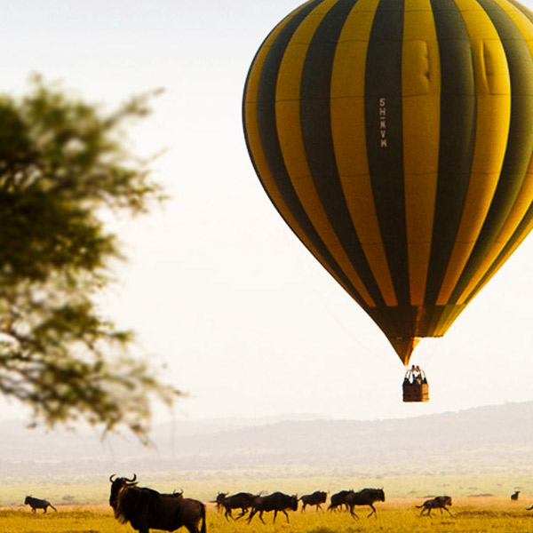 Ngorongoro Crater Hot Air Balloon