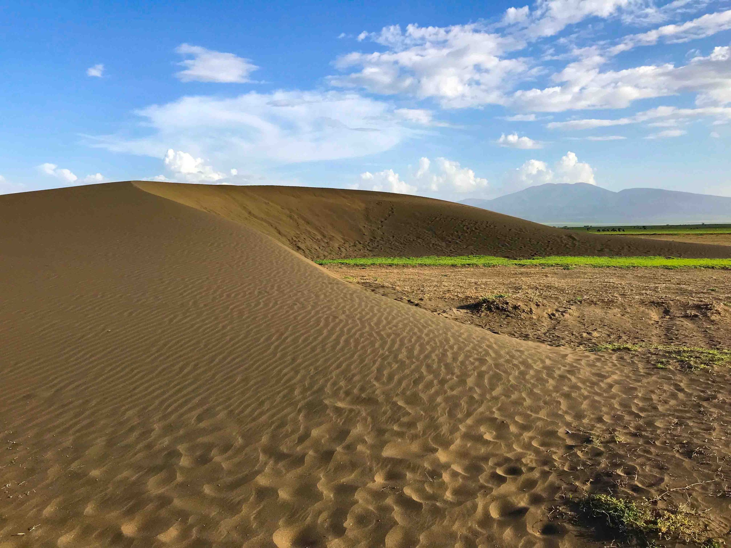Explore The Shifting Sands in The Ngorongoro Conservation Area