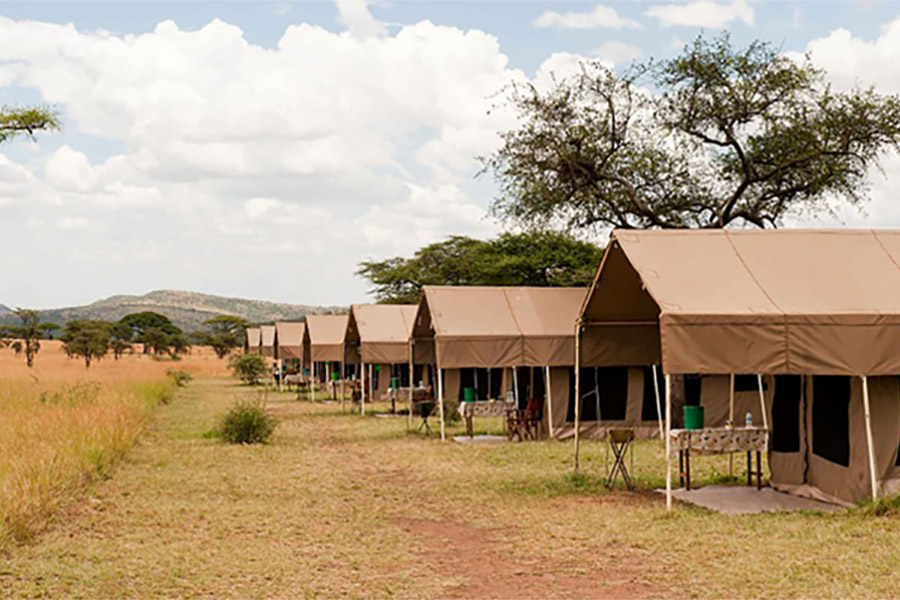  Africa Safari South Serengeti camp